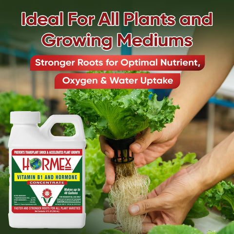Hormex aids root establishment for fruit trees and woody plants