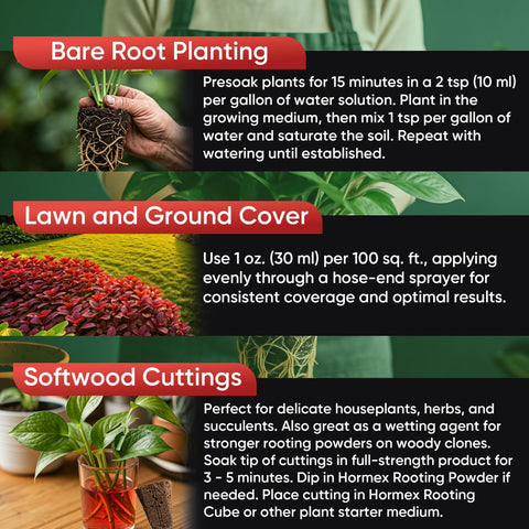 Hormex used during repotting to reduce transplant shock in houseplants
