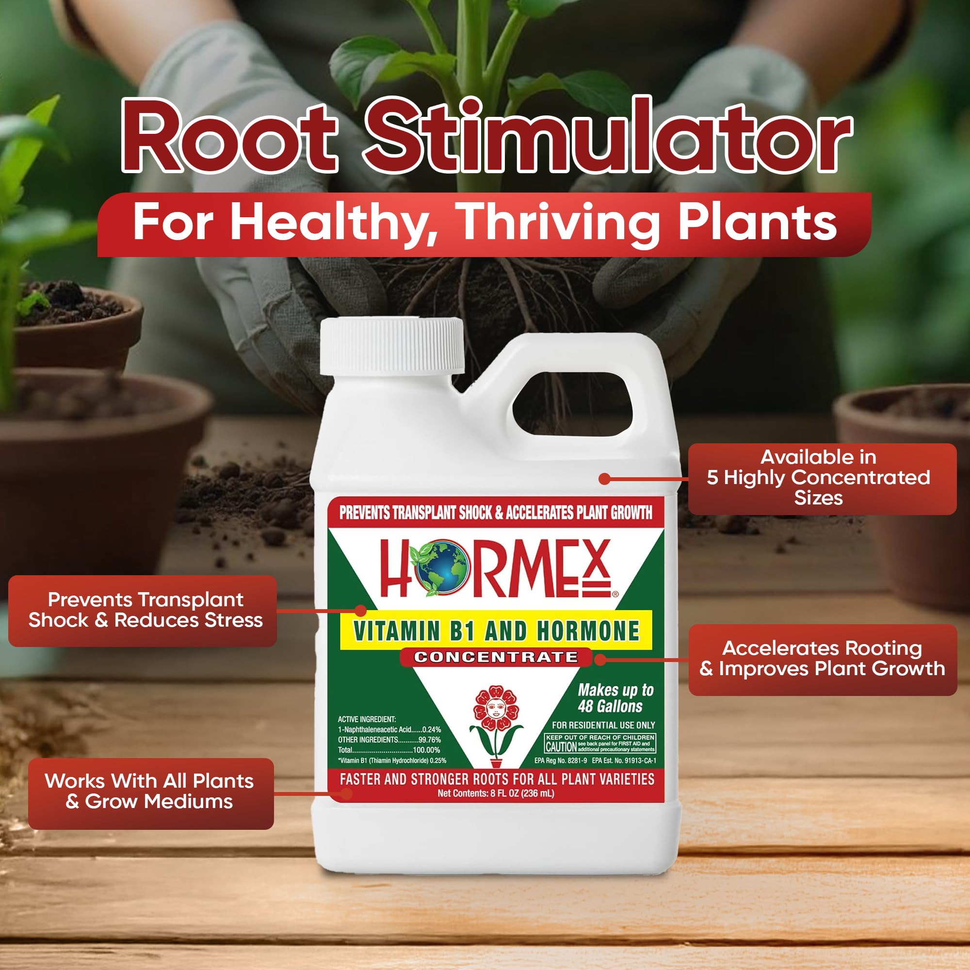 Hormex Rooting Hormone Concentrate label close-up highlights B1 benefits for roots