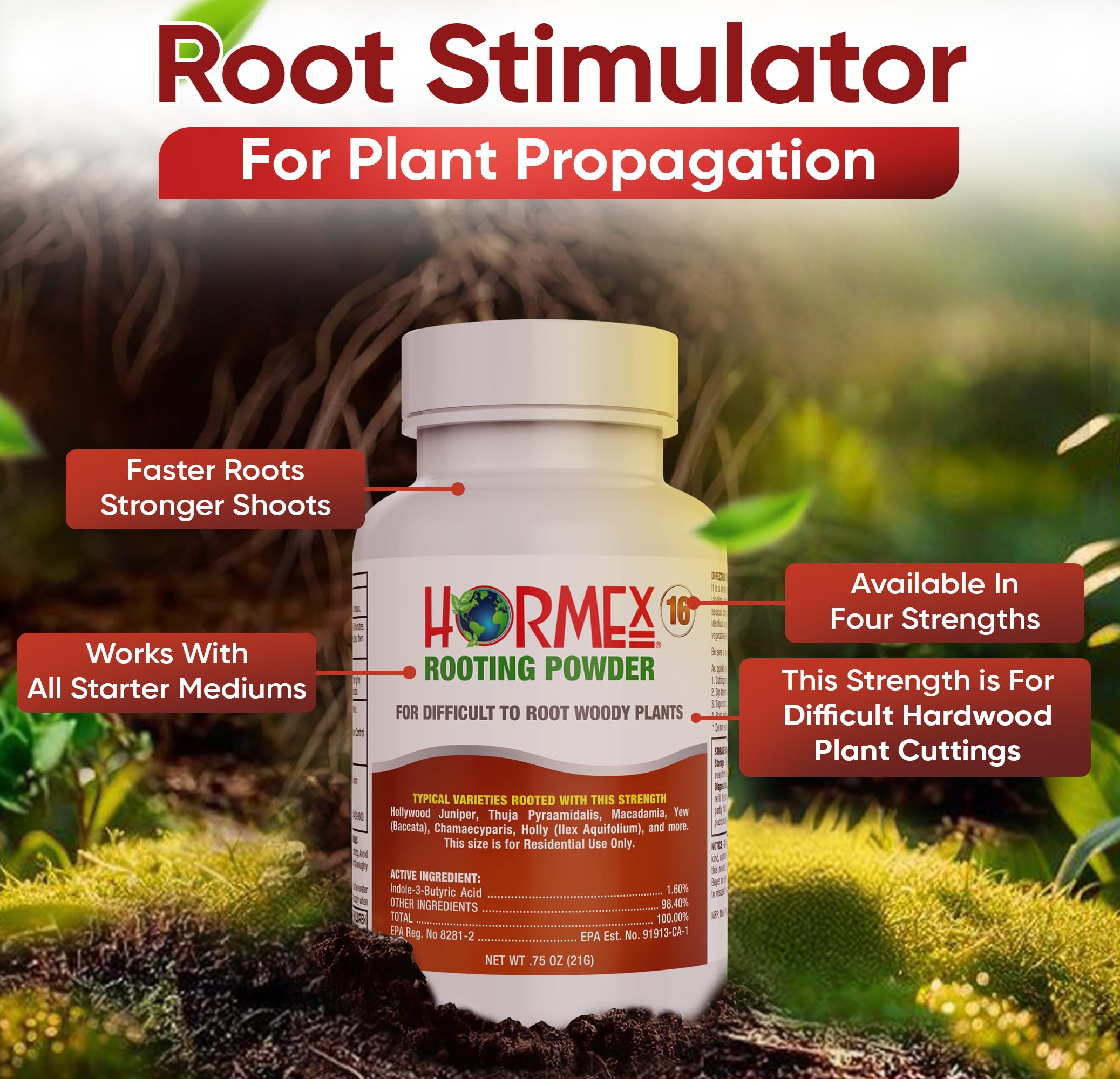 Hormex Rooting Powder 16 cutting dip shows easy, thorough coating for efficient rooting.