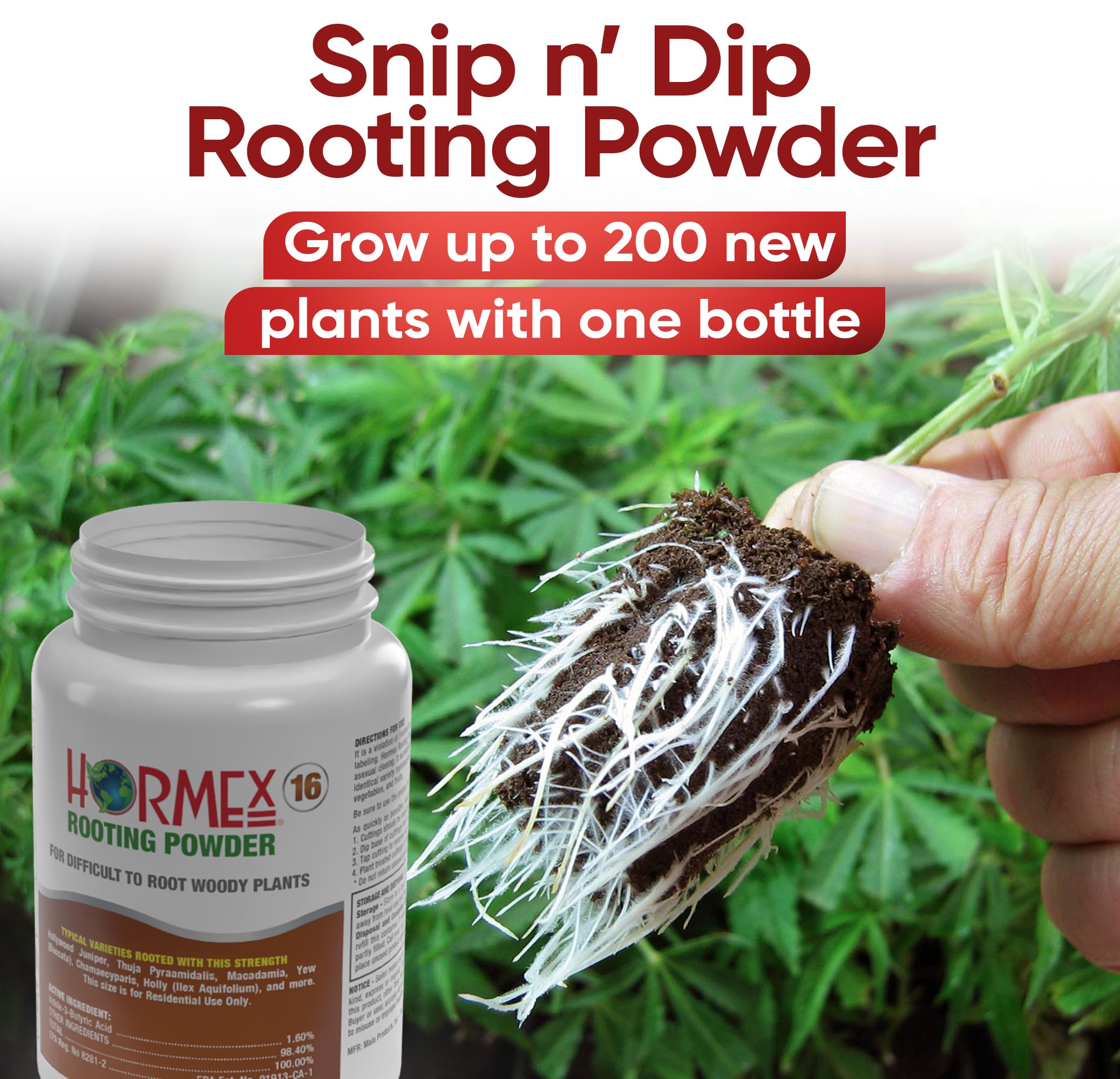 Hormex Rooting Powder 16 rooting cubes pairing demonstrates compatibility with propagation media.