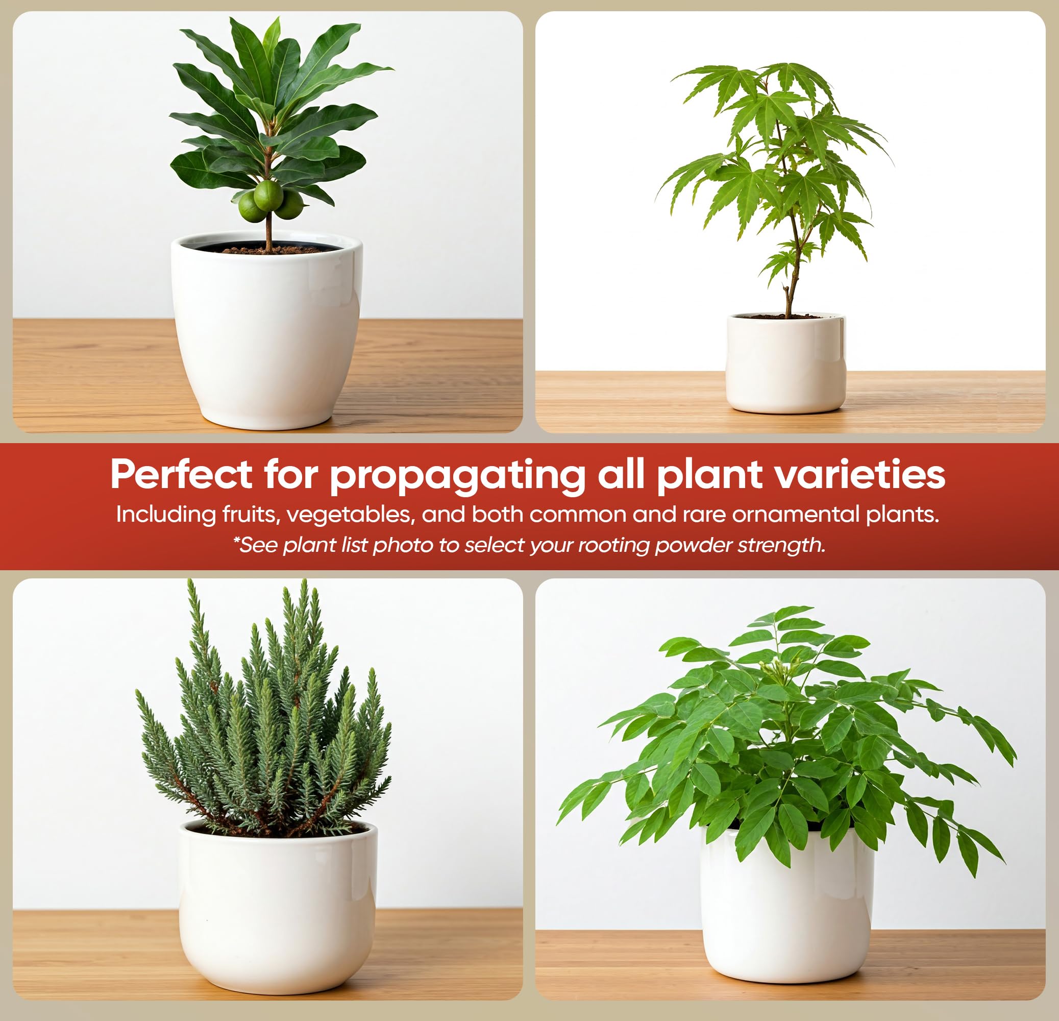 Hormex Rooting Powder 16 softwood cutting illustrates versatility across plant types.