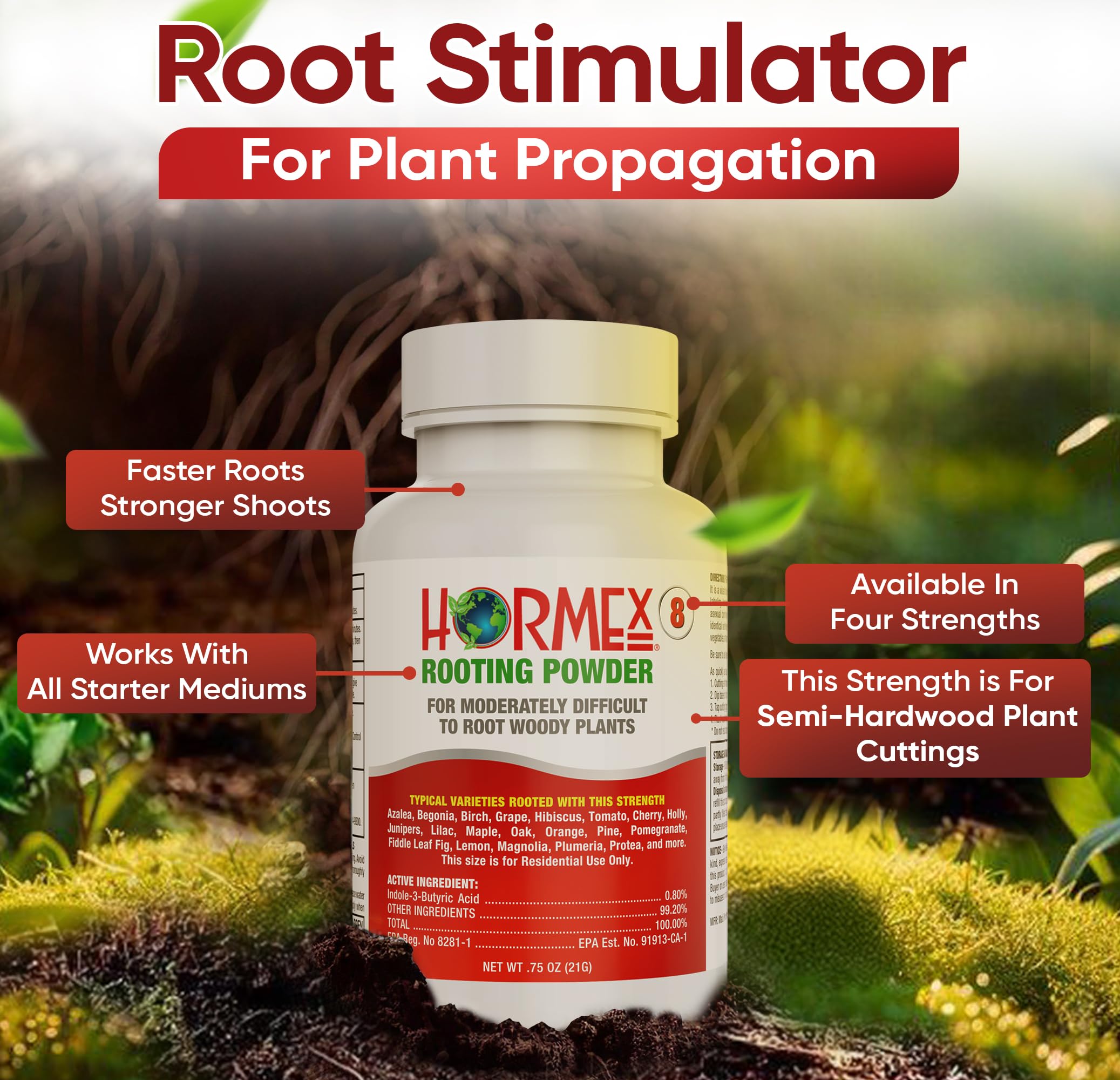 Hormex Rooting Powder 8 dip-cutting shows ready-to-use coating for rapid rooting