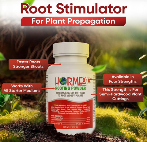 Hormex Rooting Powder 8 dip-cutting shows ready-to-use coating for rapid rooting