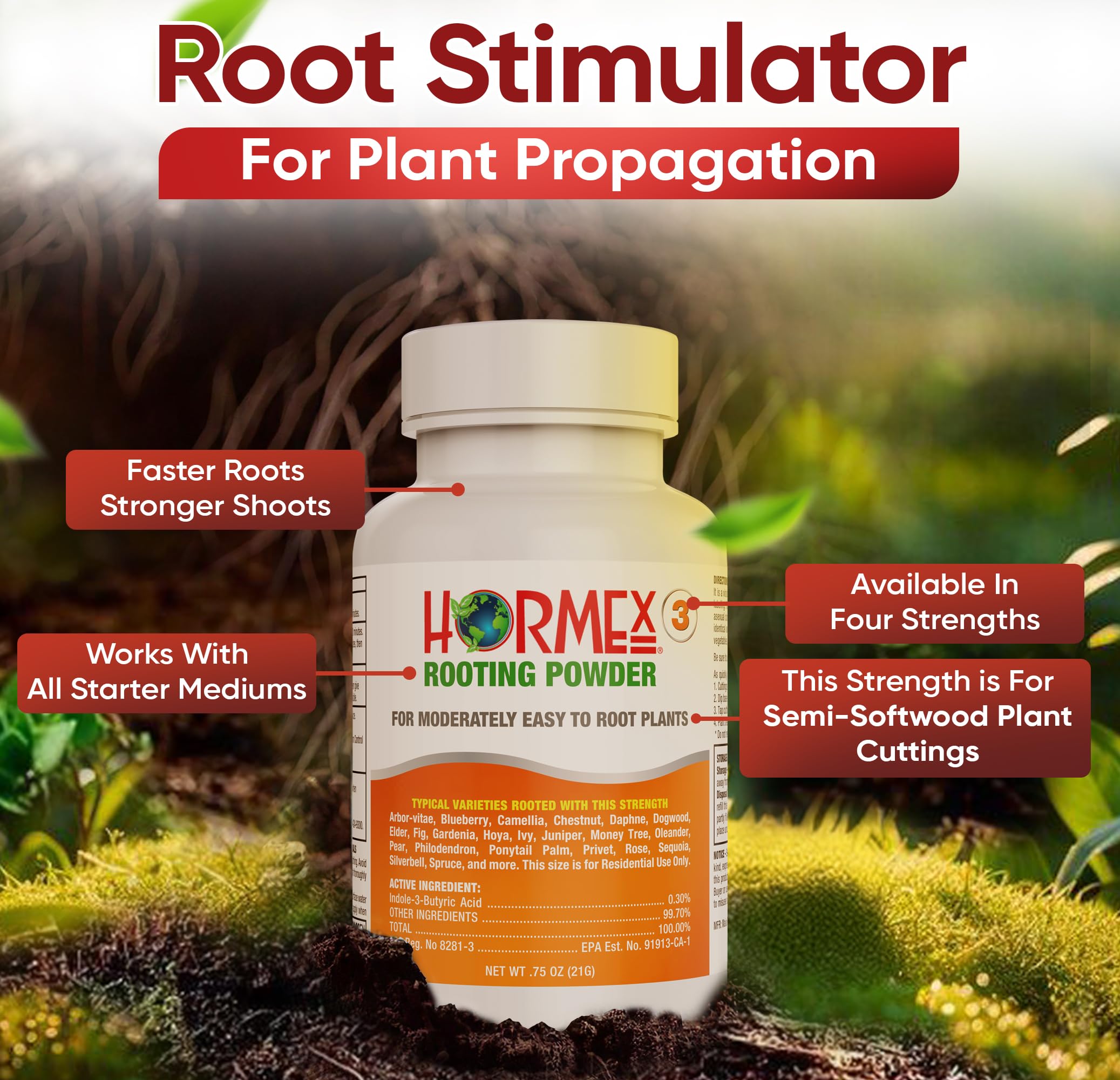 Hormex rooting powder-dipped cutting ready for quick rooting.