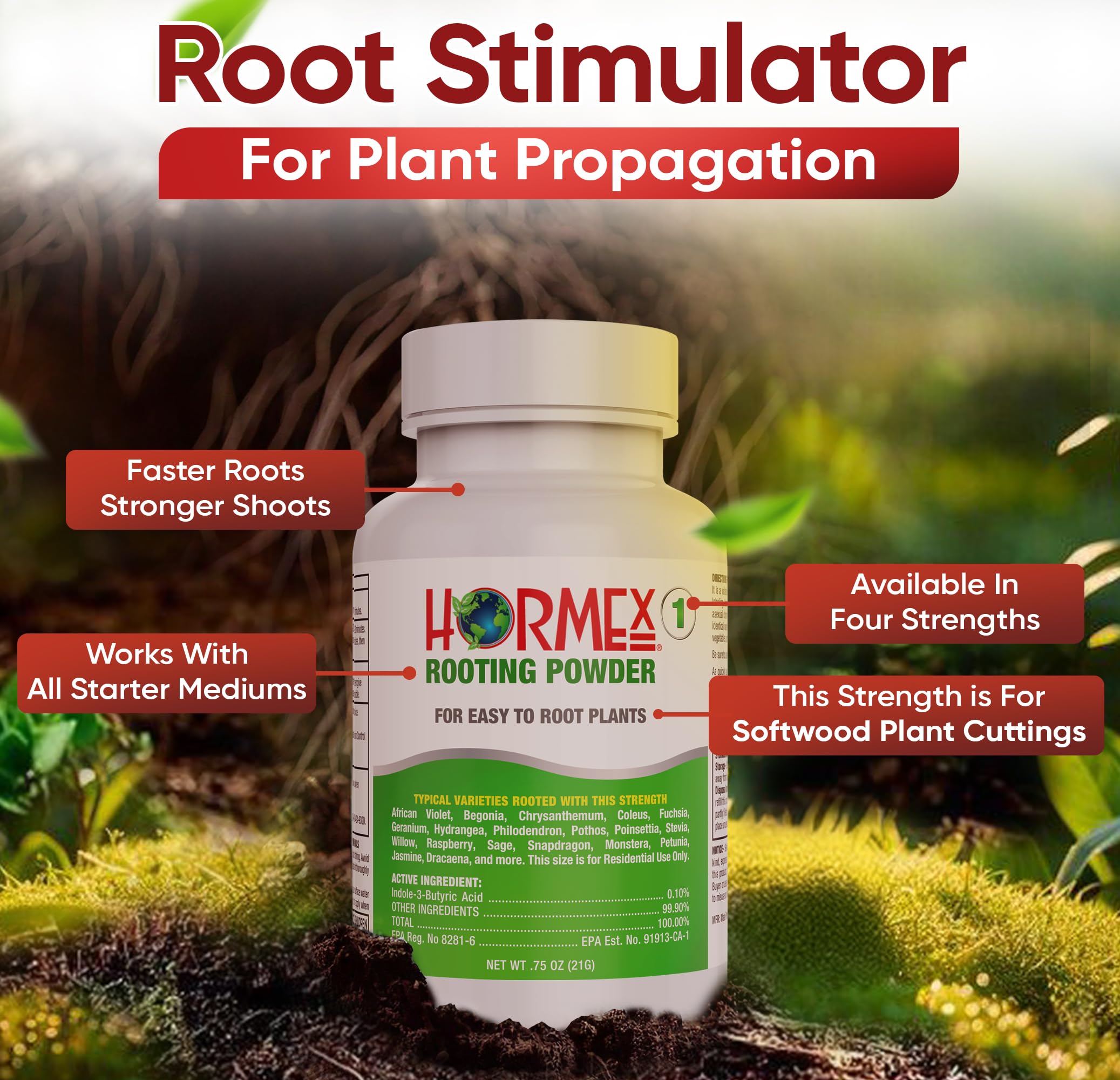 Hormex Rooting Powder applied to a fresh cutting for rapid roots.