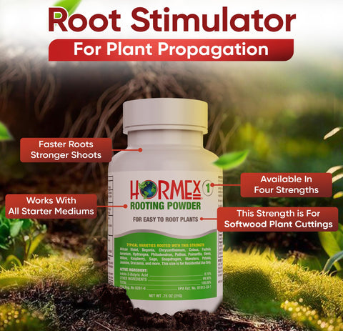 Hormex Rooting Powder applied to a fresh cutting for rapid roots.