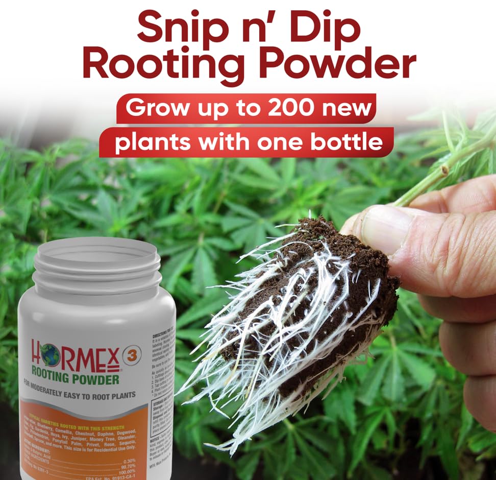 Hormex rooting powder packet closeup shows clean, minimalist formula ideal for propagation.