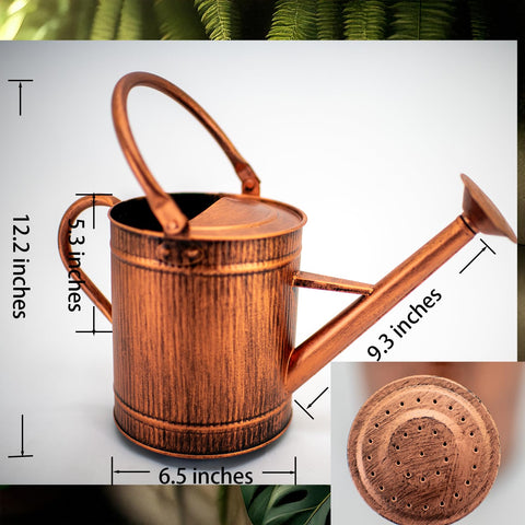 HORTICAN 1-gallon capacity ideal for indoor and patio plant care.