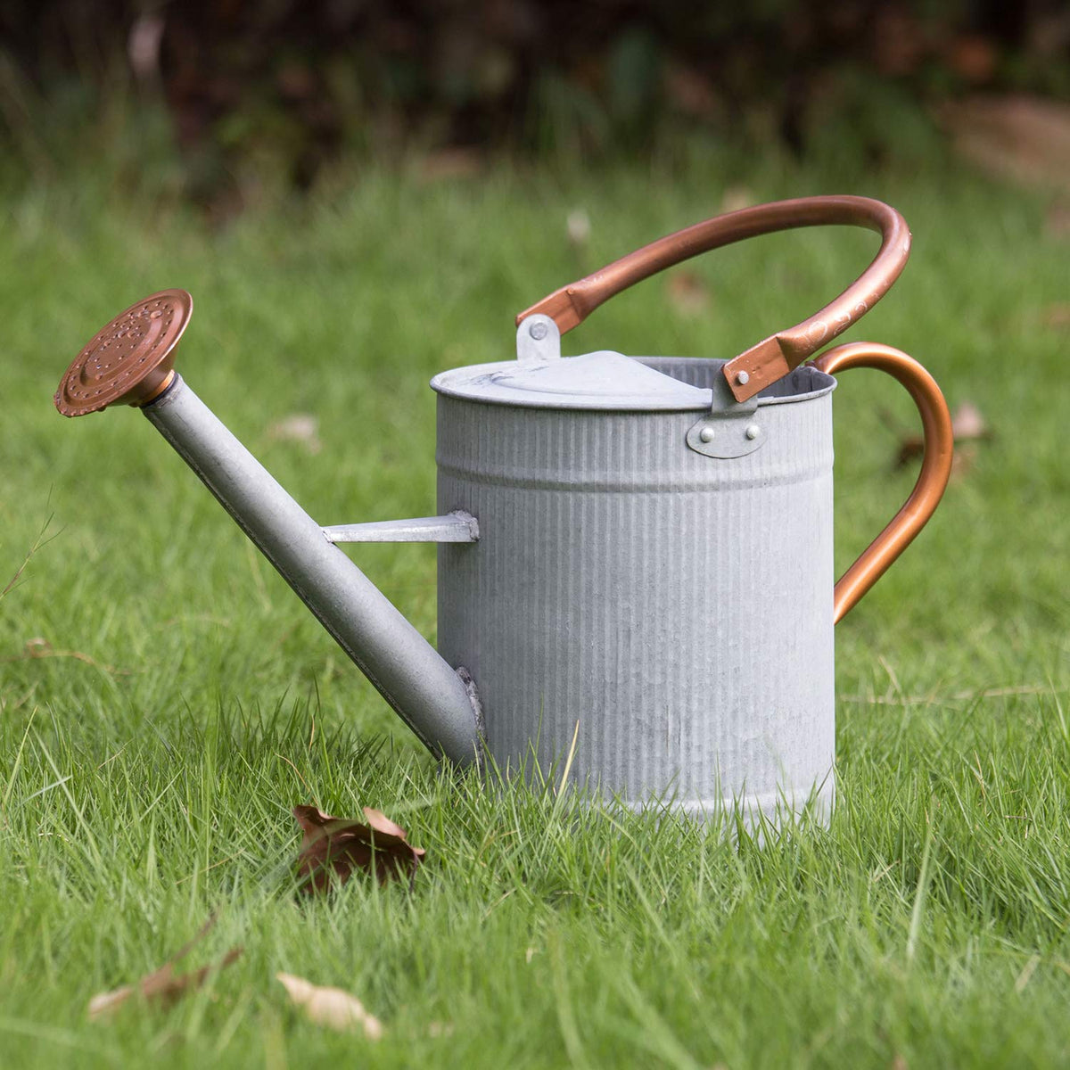 HORTICAN 1-gallon watering can with galvanized finish for indoor and outdoor plant care