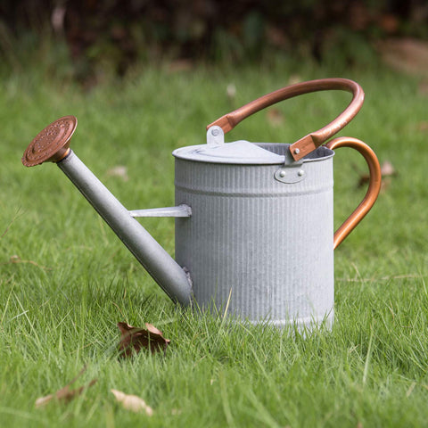 HORTICAN 1-gallon watering can with galvanized finish for indoor and outdoor plant care