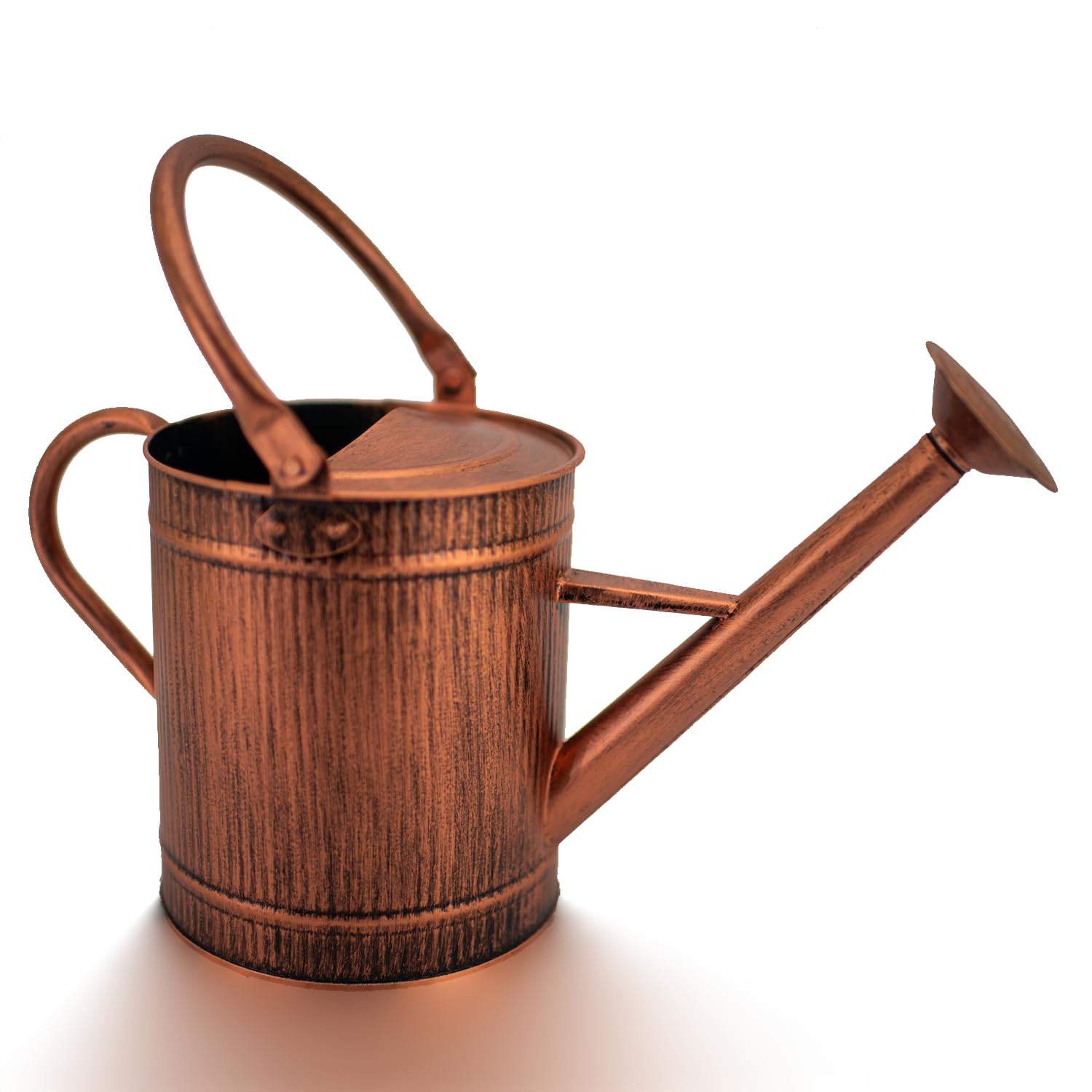 HORTICAN copper 1-gallon watering can with removable spout for precise indoor watering.