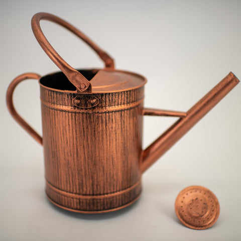 HORTICAN metal watering can showcases an elegant design for outdoor spaces.