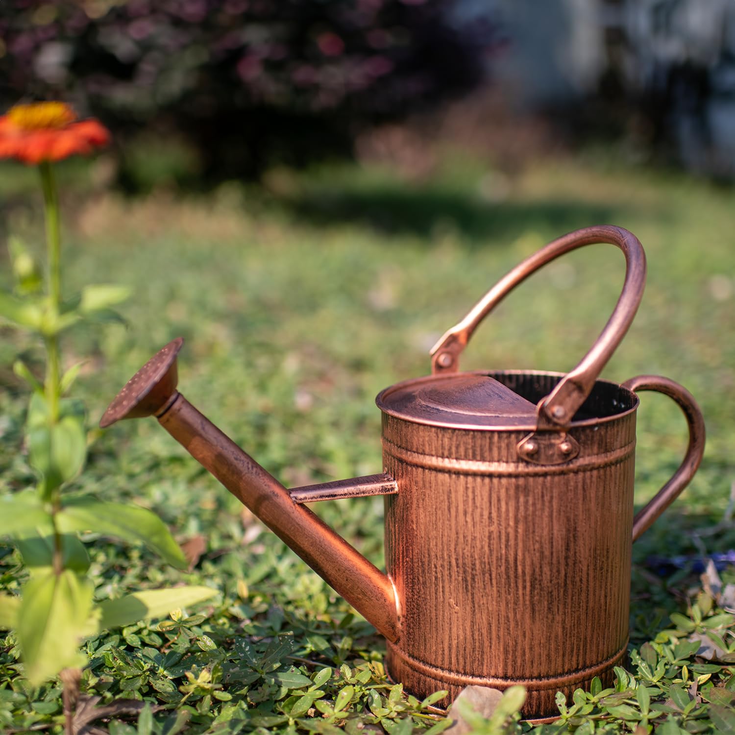 HORTICAN versatile water can doubles as décor in living spaces.