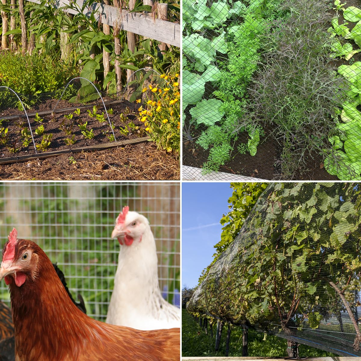 HORTIFAN Bird Netting is easy to install and non-toxic.