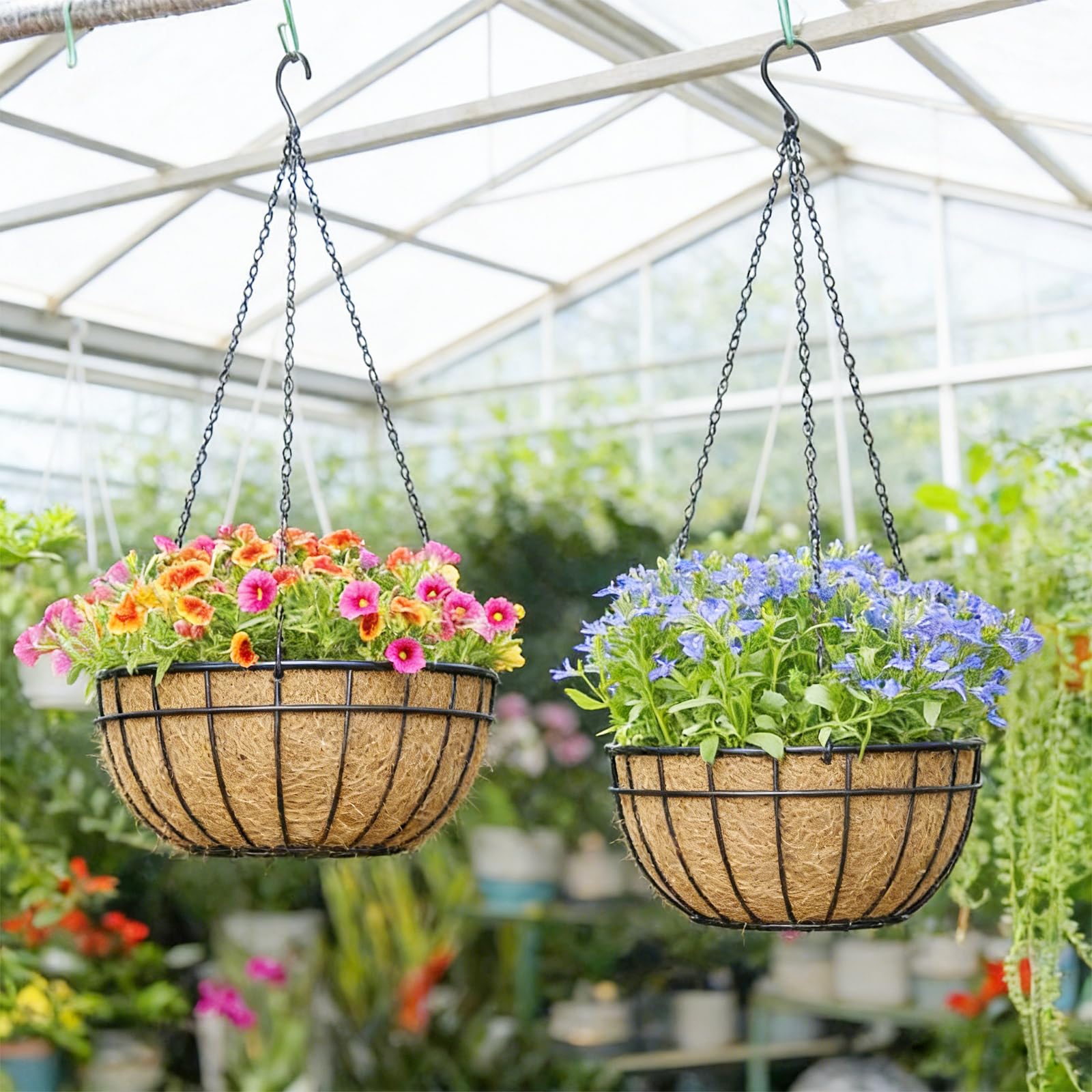 Hoscabss hanging-basket liner install demonstrates easy soak-and-fit for garden setups.