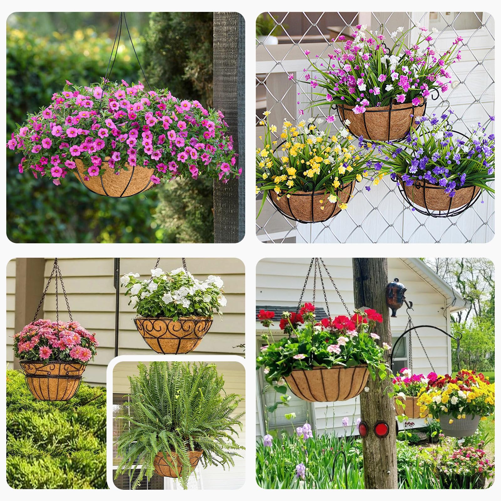 Hoscabss four-pack packaging supports ready-to-use garden projects.
