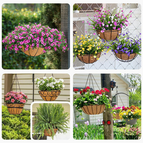 Hoscabss four-pack packaging supports ready-to-use garden projects.