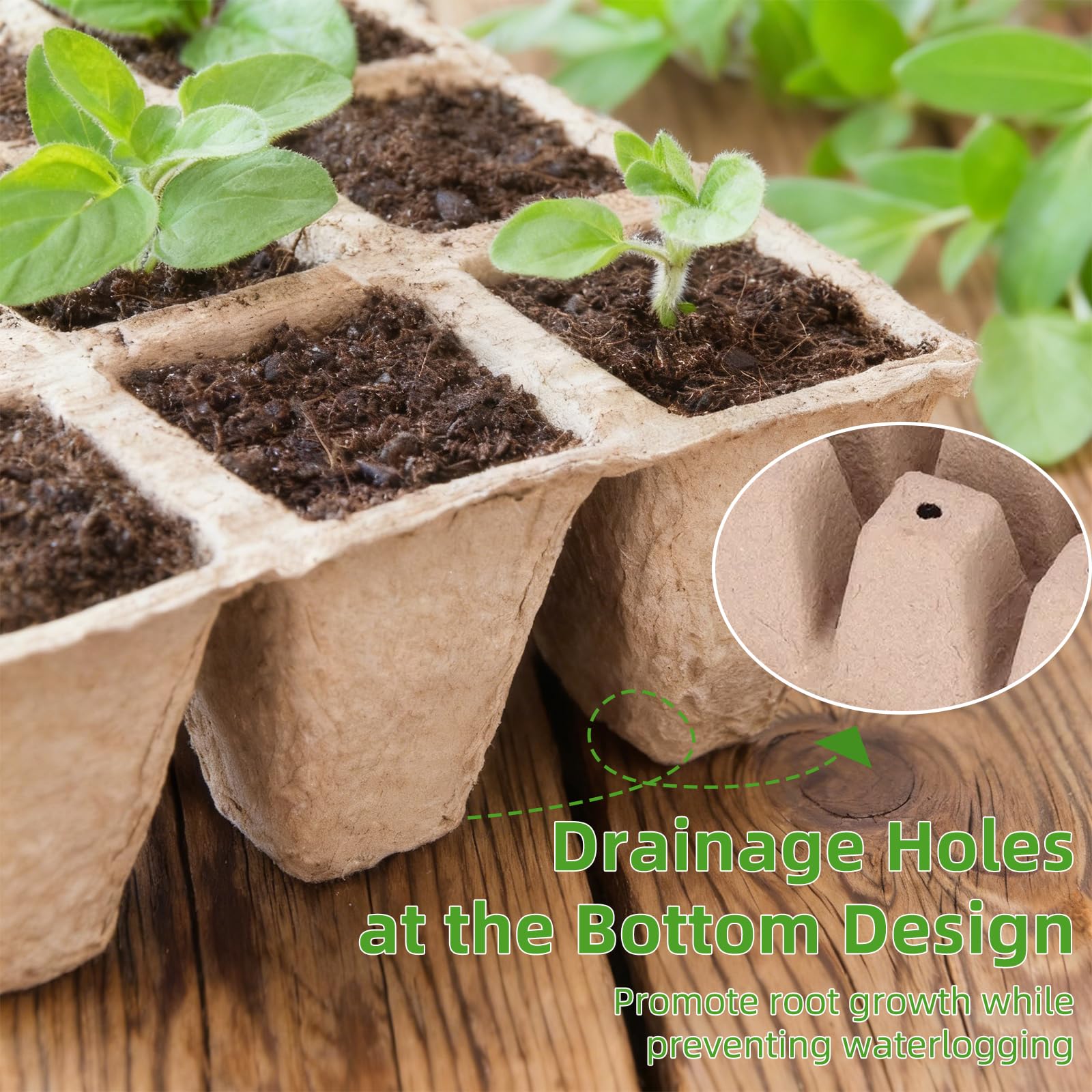 Hosetim easy-transfer seed start kit reduces transplant stress.