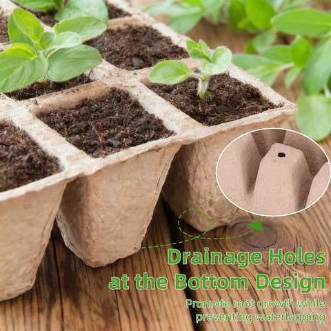 Hosetim easy-transfer seed start kit reduces transplant stress.