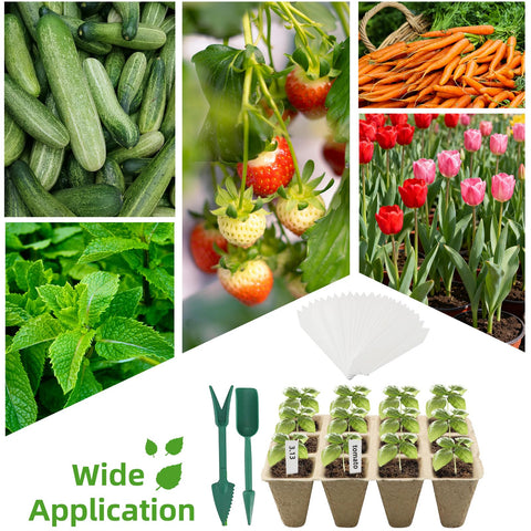 Hosetim mini gardening tools for precise seedling care.