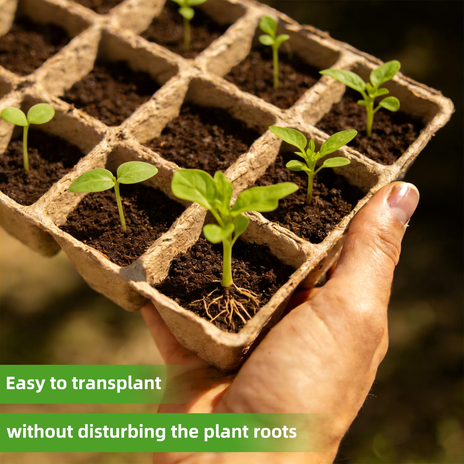 Hosetim plant labels keep track of varieties and progress.