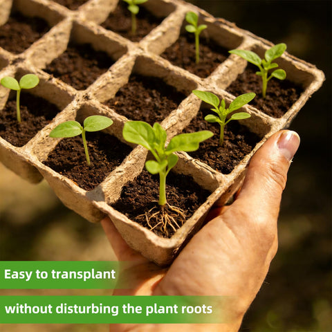 Hosetim plant labels keep track of varieties and progress.