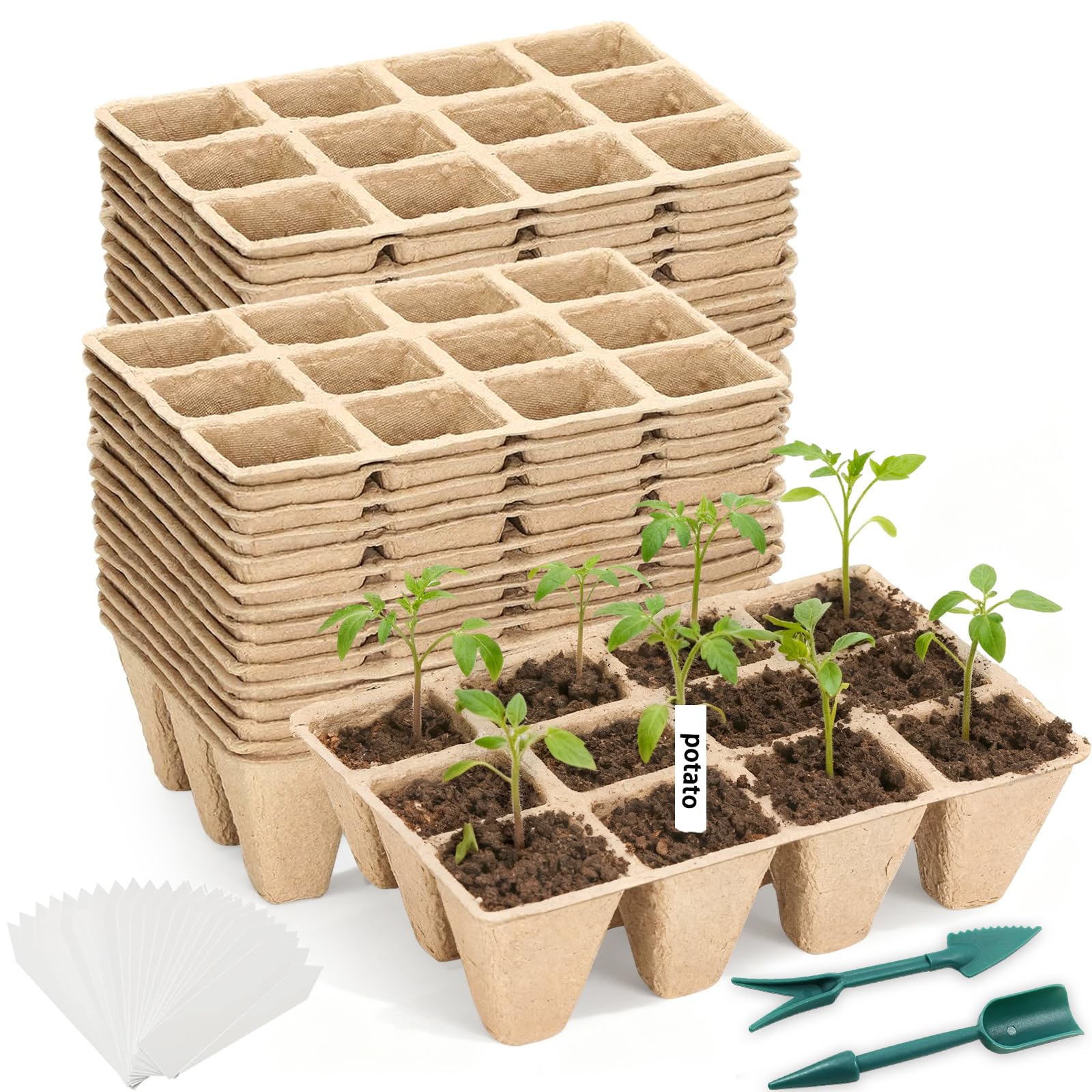 Hosetim seed starter tray 300 cells for organized seedling care.