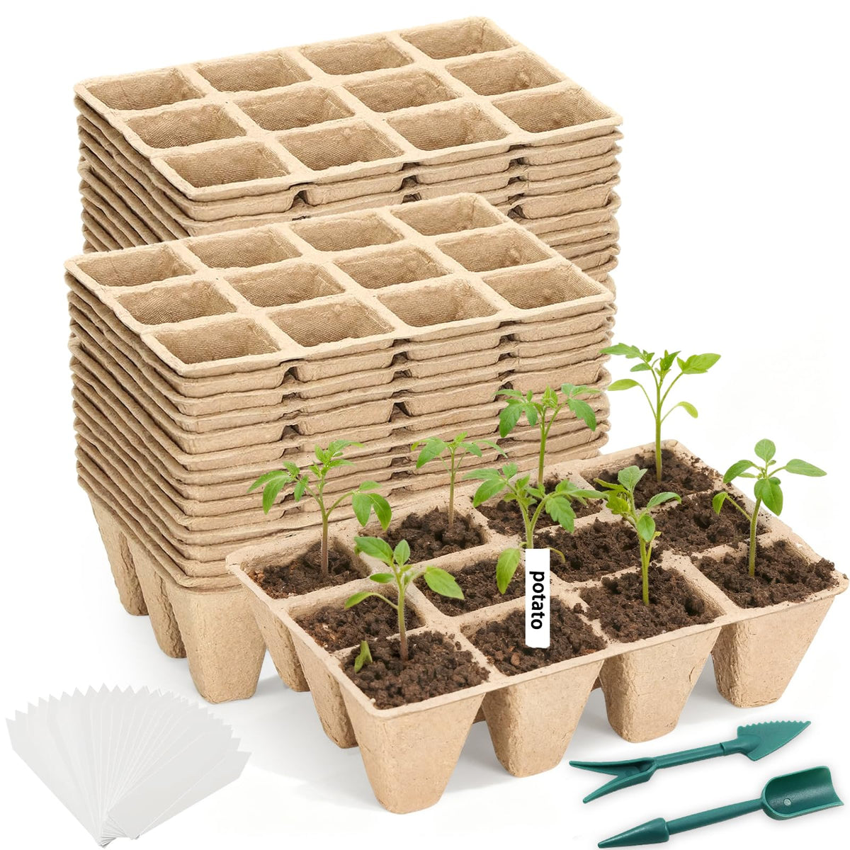 Hosetim seed starter tray 300 cells for organized seedling care.