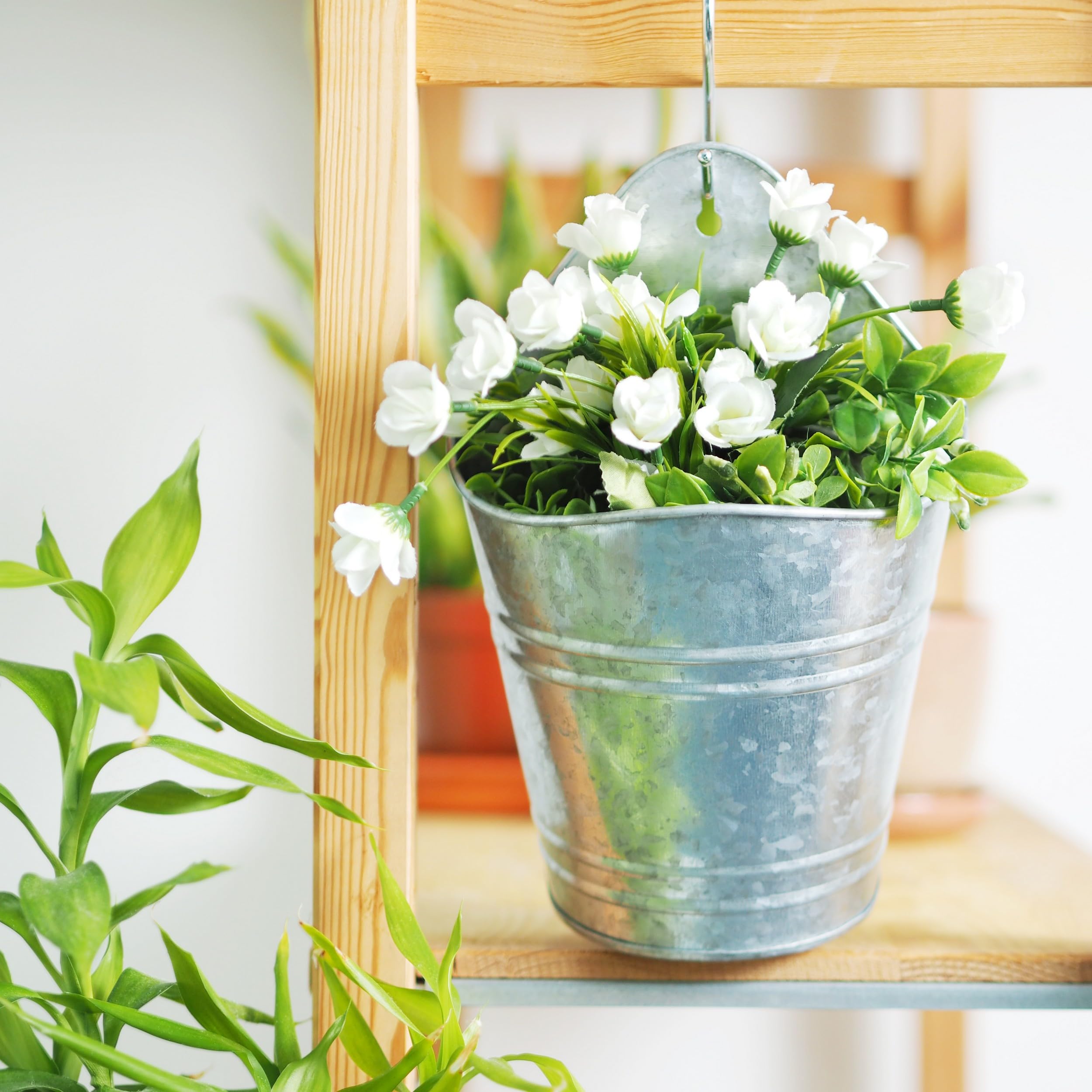 Hosley 10-inch wall planter creates a vertical display for plants.