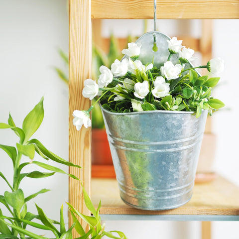 Hosley 10-inch wall planter creates a vertical display for plants.