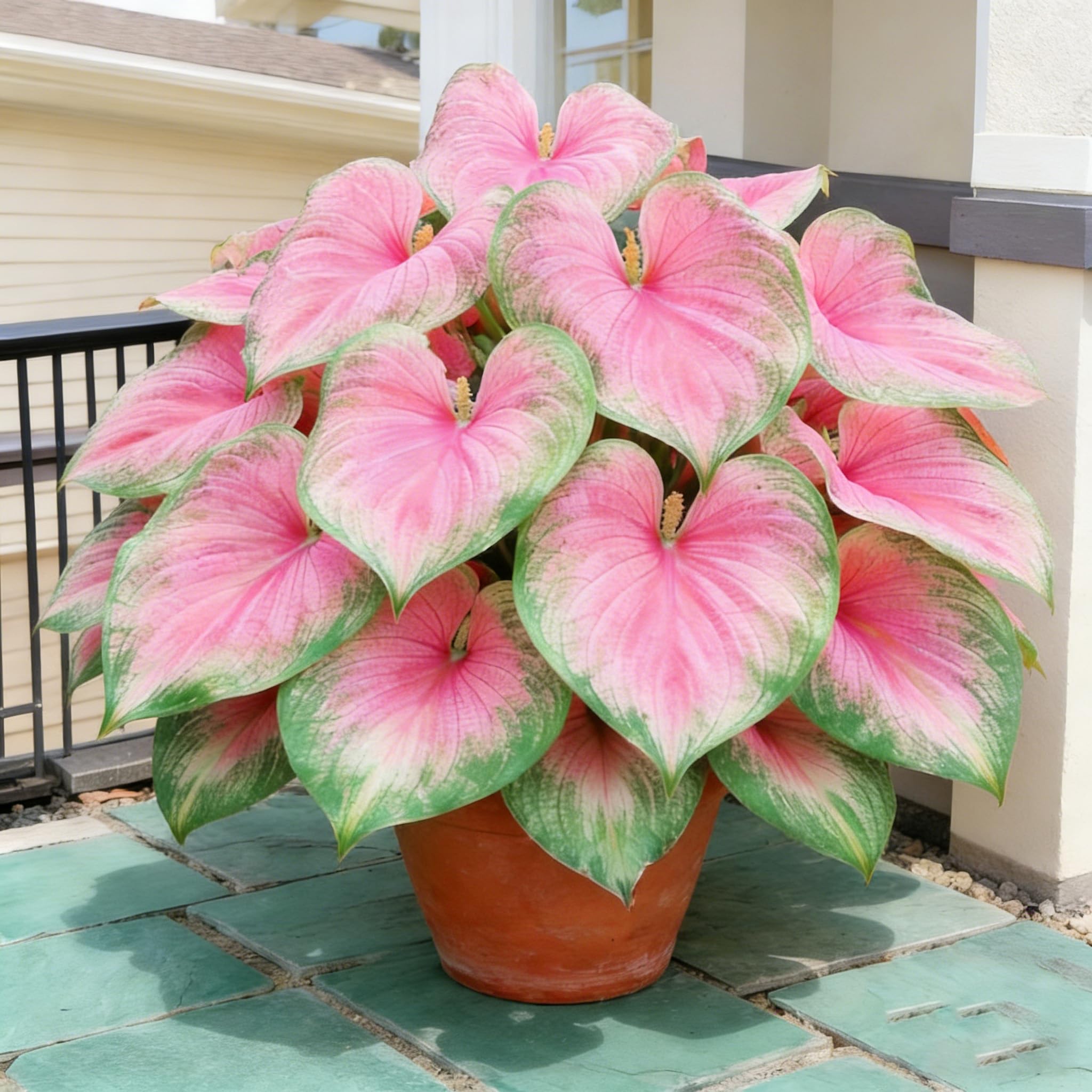 Hosta seeds attract pollinators and add greenery.