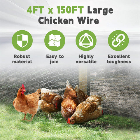 HOSTIC galvanized poultry netting shows rust-resistant outdoor durability