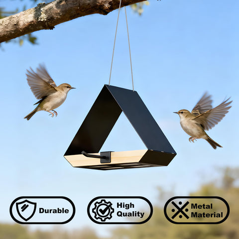 HOSUN attracts cardinal and bluebird visitors with open feeding access