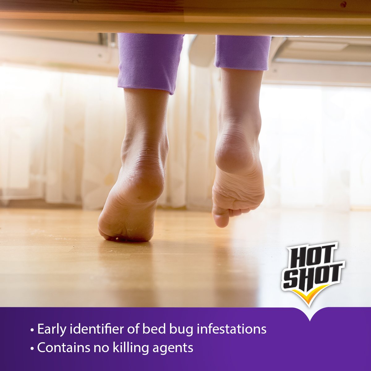 HOT SHOT disposable bed bug trap supports quick replacement after detection
