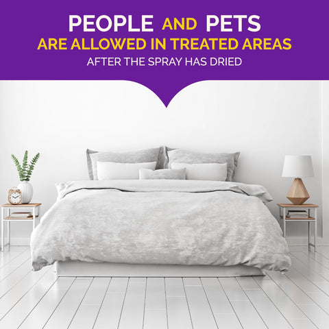 Hot Shot Bed Bug Killer treats seams and creases where bugs hide