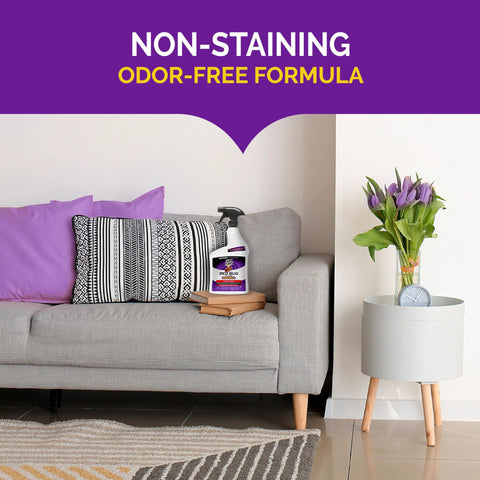 Hot Shot Bed Bug Killer water-based formula with no odor