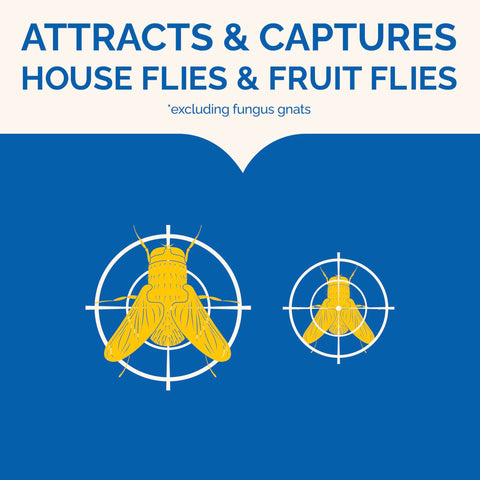 Hot Shot Flying Insect Trap delivers 24/7 action to reduce flies.