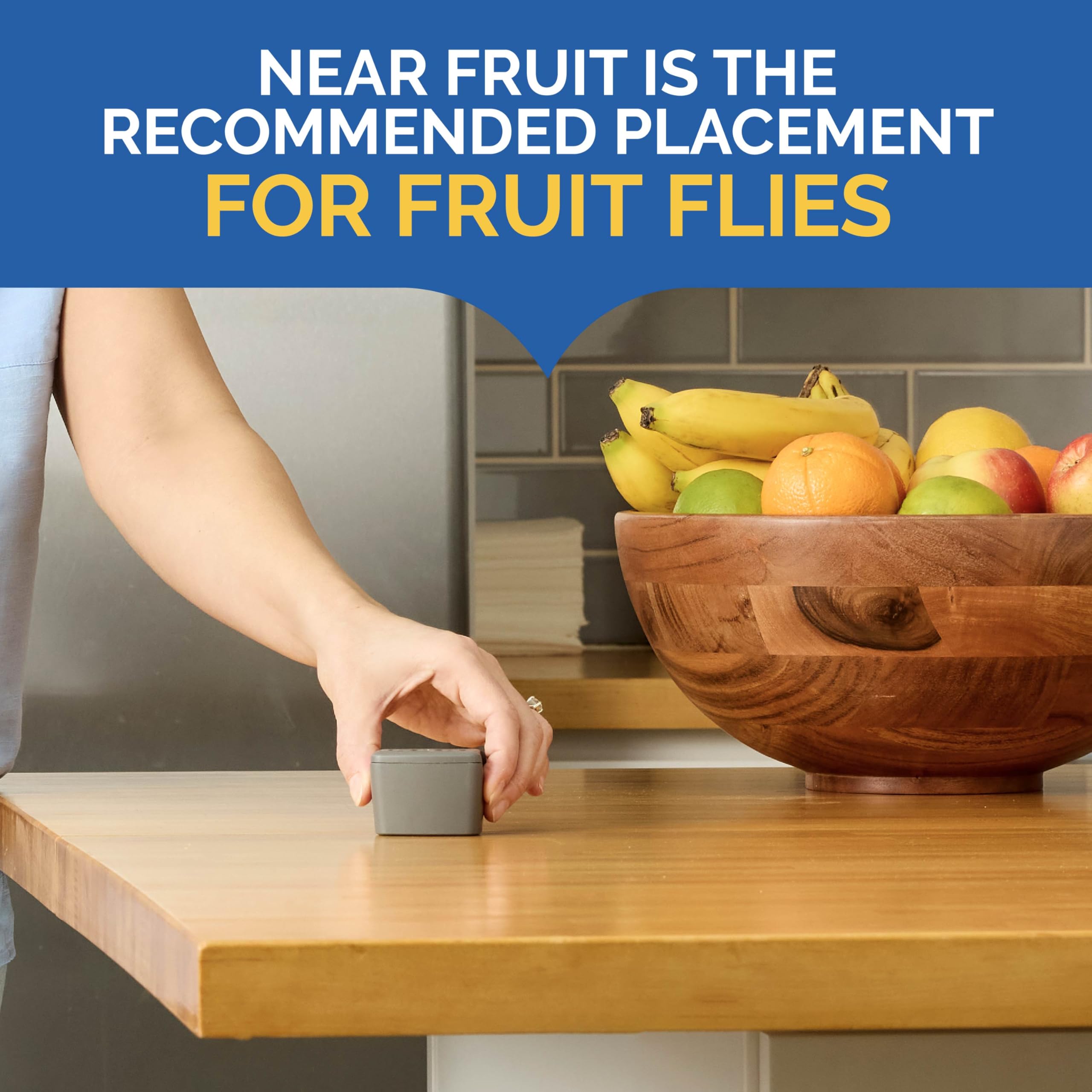 Hot Shot Flying Insect Trap captures fruit flies near fruit.