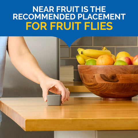 Hot Shot Flying Insect Trap captures fruit flies near fruit.