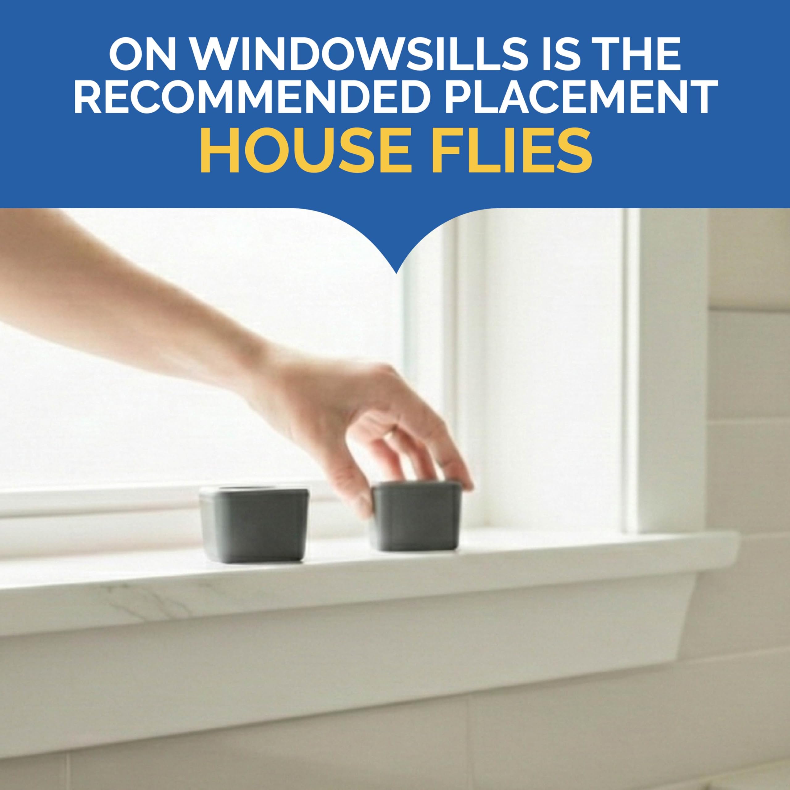 Hot Shot Flying Insect Trap captures house flies on contact.