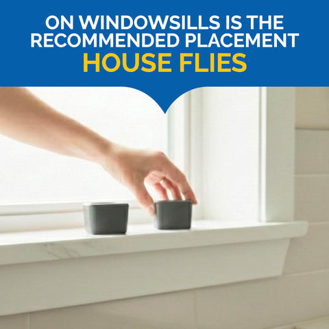 Hot Shot Flying Insect Trap captures house flies on contact.