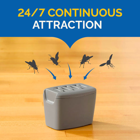 Hot Shot Flying Insect Trap ideal for kitchen use, discreet.