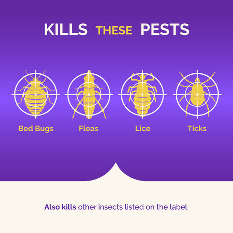 Hot Shot fogger kills bed bugs for easier room cleanup