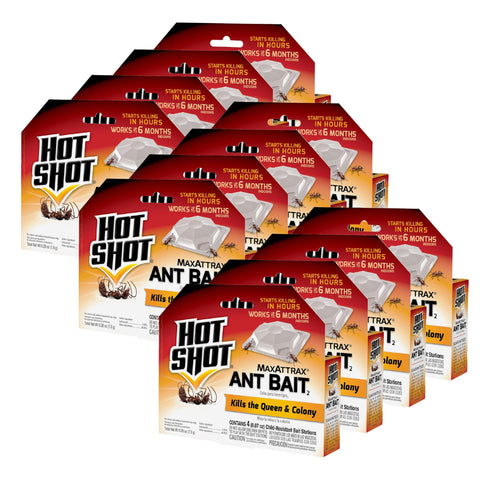 Hot Shot MaxAttrax ant bait stations 4-pack ready for trail placement