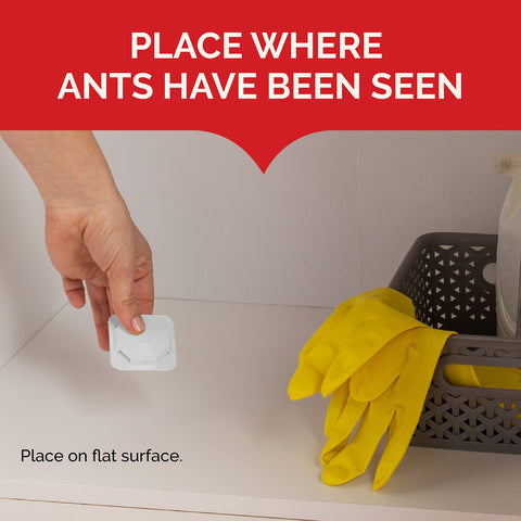 Hot Shot MaxAttrax bait stations in a cabinet section for quick ant relief