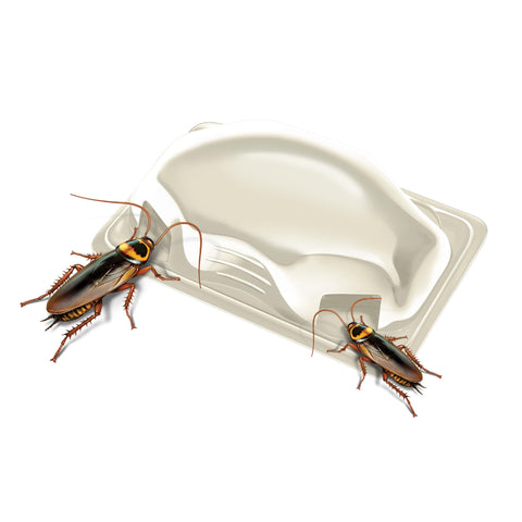 HOT SHOT MaxAttrax roach bait stations shown in child-resistant packaging for safer homes.