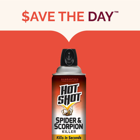 Hot Shot spider and scorpion killer reaches baseboards and tight spots behind appliances.