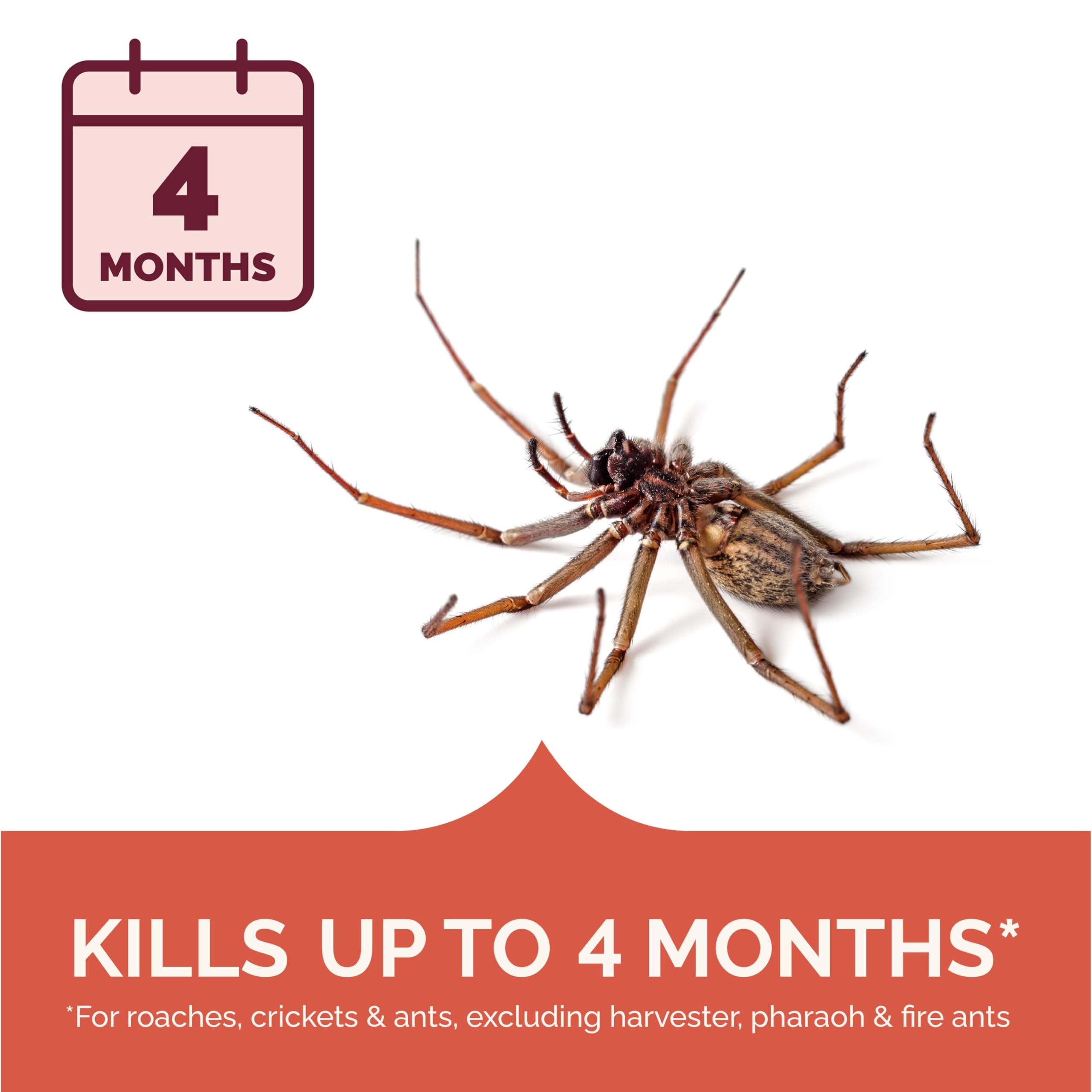 Hot Shot spider and scorpion killer for indoor and outdoor use in homes.