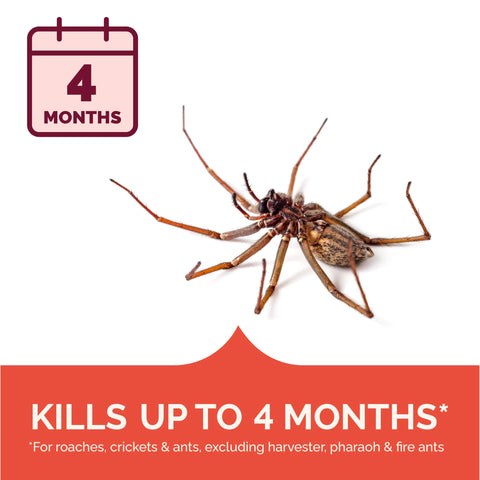Hot Shot spider and scorpion killer for indoor and outdoor use in homes.